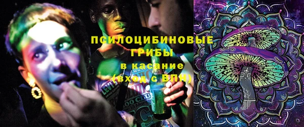 стаф Сосновка