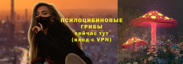 герыч Сосновый Бор