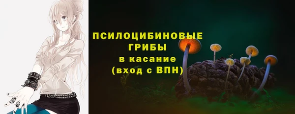 герыч Сосновый Бор