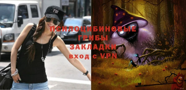стаф Сосновка