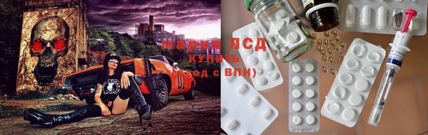 герыч Сосновый Бор
